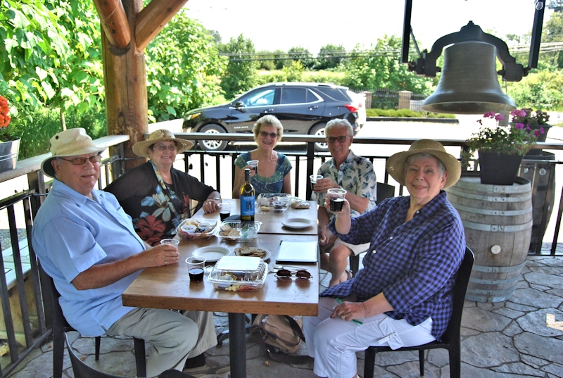 backyard vineyard picnic